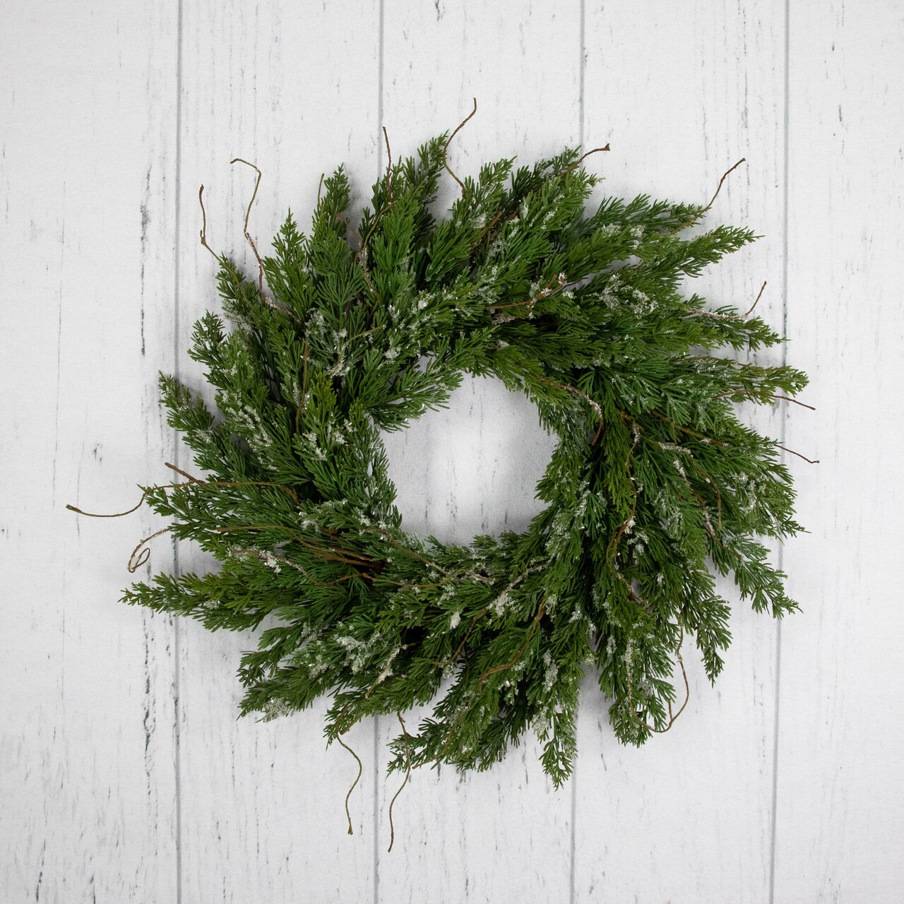 Northlight Real Touch™️ Iced Cedar Artificial Christmas Wreath - 24" - Unlit